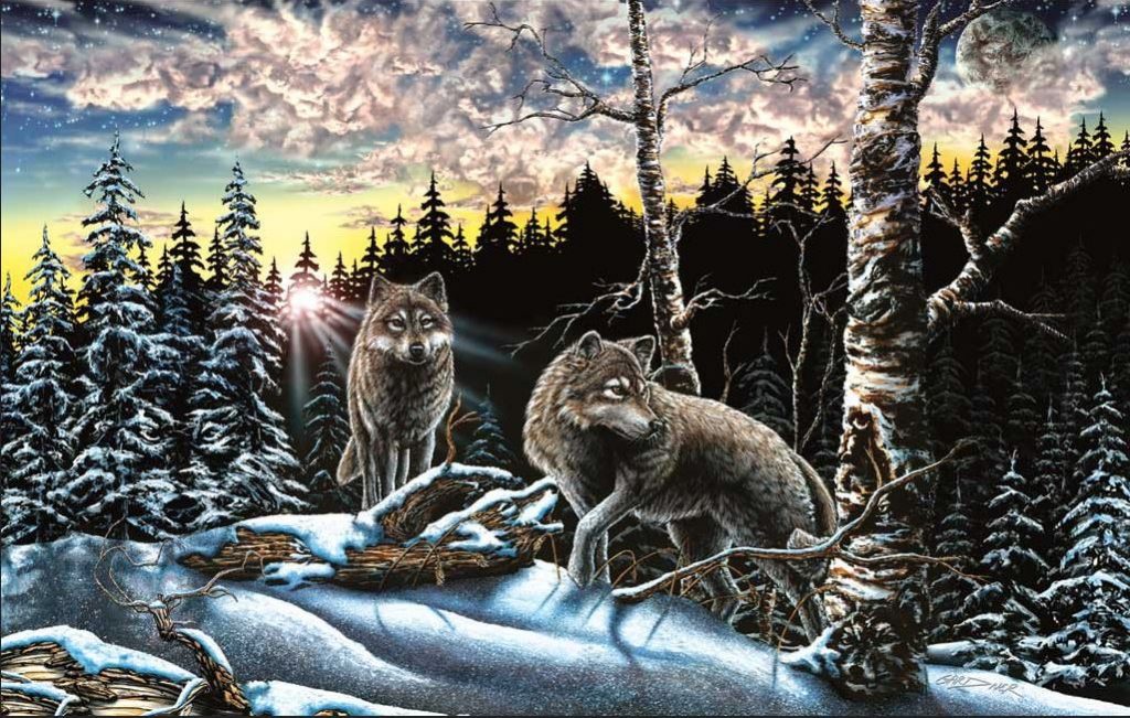 encuentra 15 imagenes escondidas